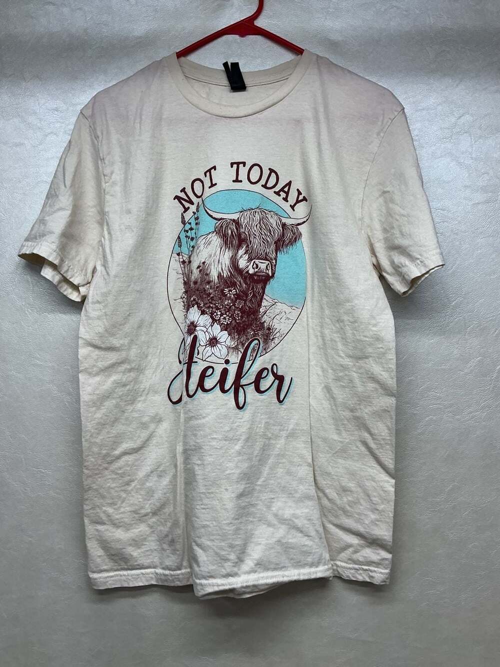 Ariat Bison Head Circle T-Shirt - Men's Graphic T-Shirts in Natural